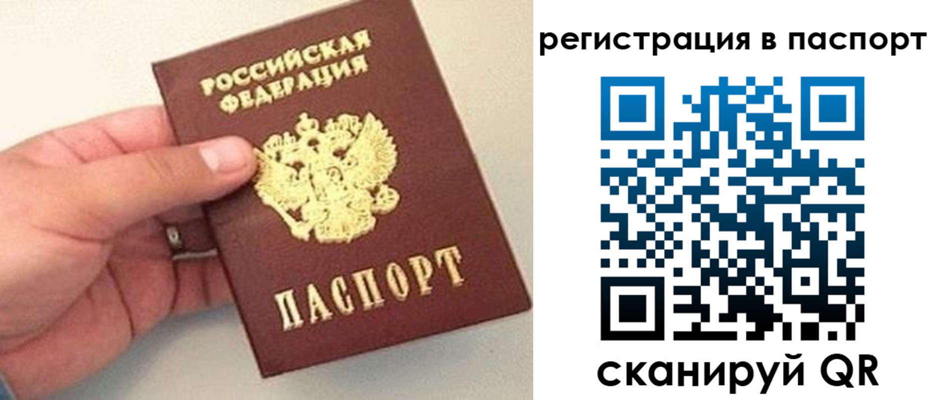 прописка законно в Курчалом